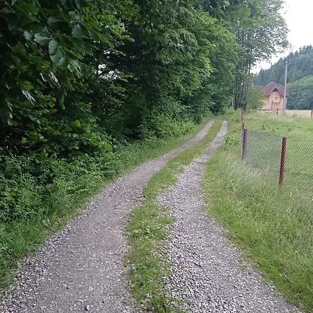 брусний בית נופש מיקוליצ'ין